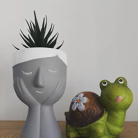 Gex Appartamento Tirana