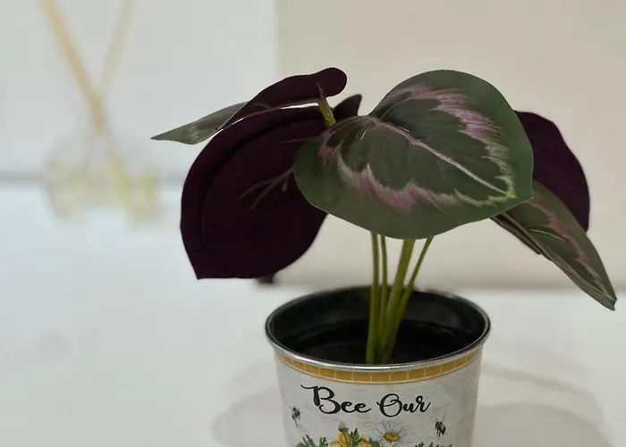 Gex Апартаменты