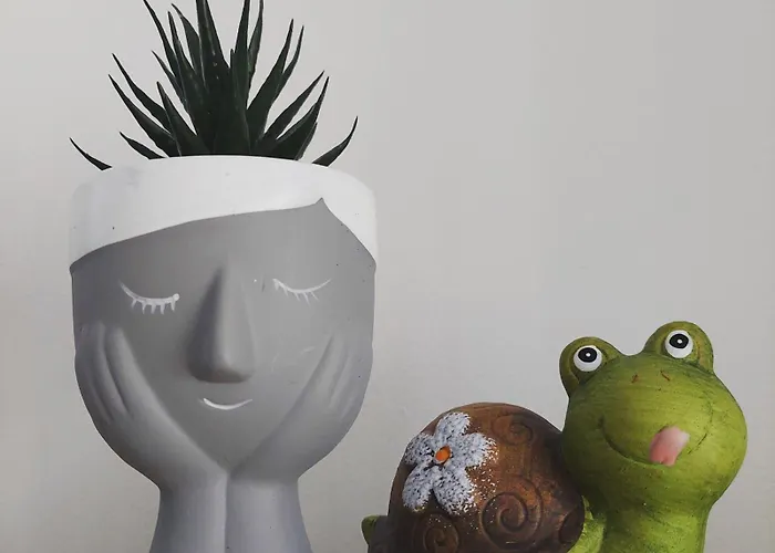 Gex דירה טיראנה